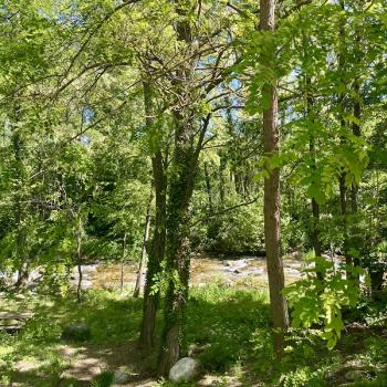 Accès privé rivière le Cady camping eau vive