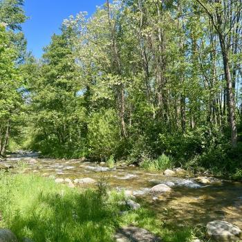 Accès privé rivière le Cady camping eau vive