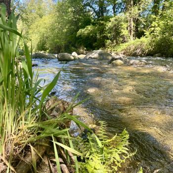 Accès privé rivière le Cady camping eau vive