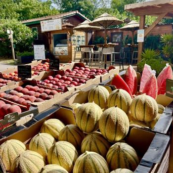 Le petit marché au camping